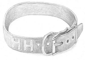 Halsband van Hondje Haring